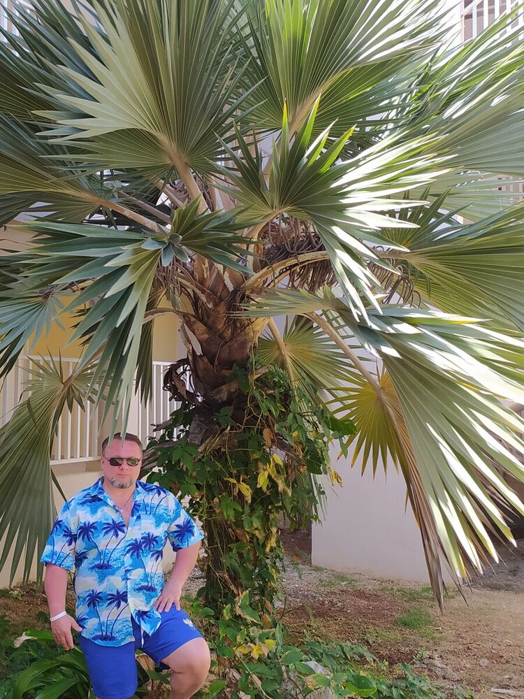  ,   , 54 ,     , c 