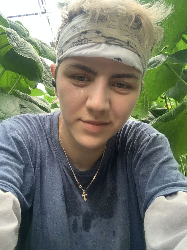 ���������� ��������, ���� ������� �����, 29 ���, ������������ ��� c�������� ���������