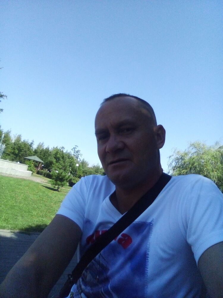  31261669  , 44 ,    