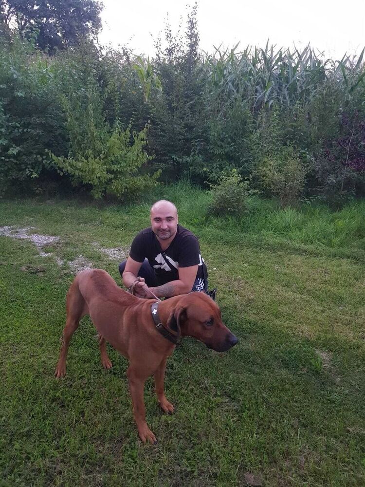 ���� 24129919 ������� Vladimir, 38 ���, ���� ���������� � ����