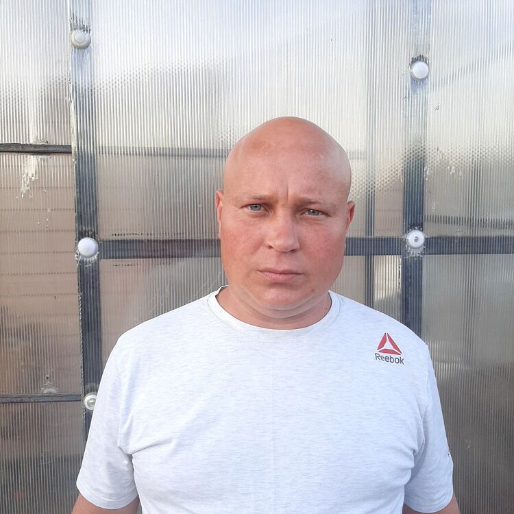 ���� 32645599 ������� ������, 38 ���, ���� ���������� � ����������