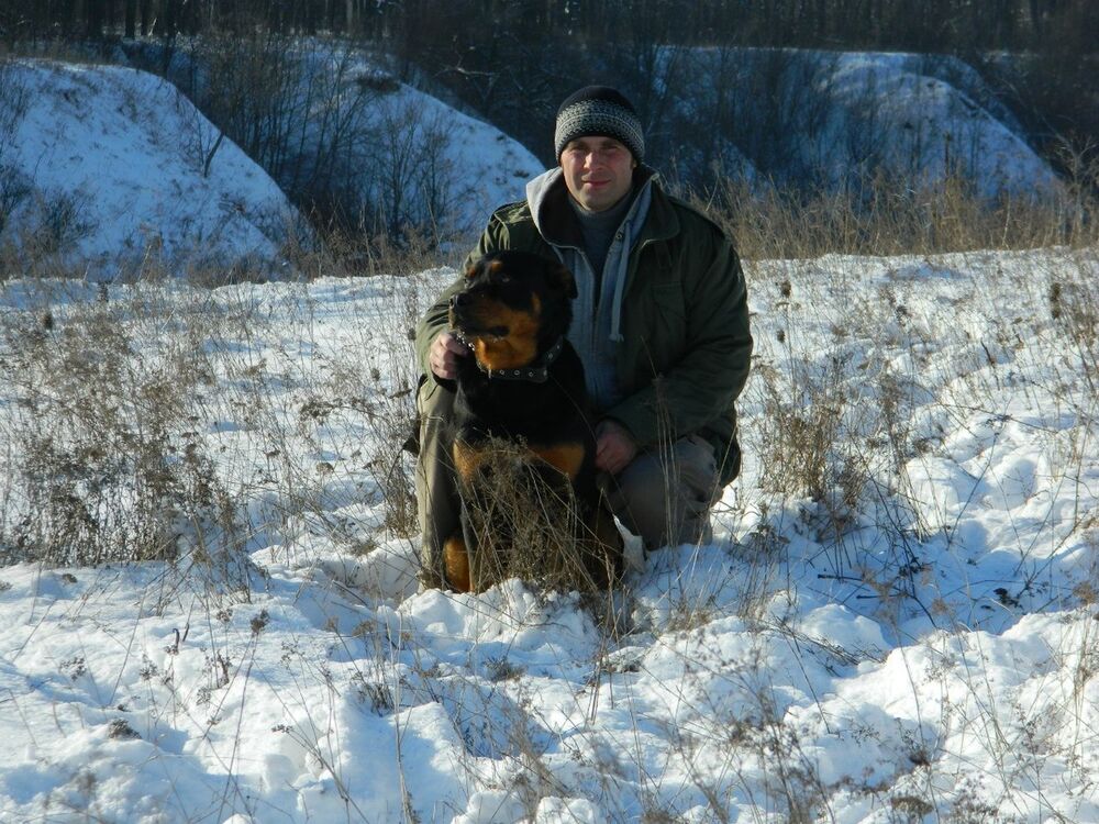 ���������� �������, ���� ������� �����, 45 ���, ������������ ��� ������, ����� � ���������, c�������� ���������