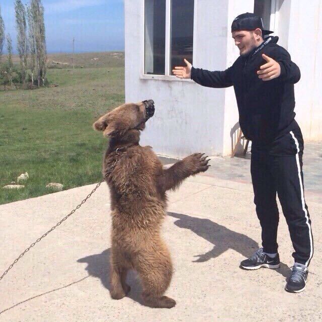 ���� 43977959 ����� ������, 23 ����, ���� ���������� � �������