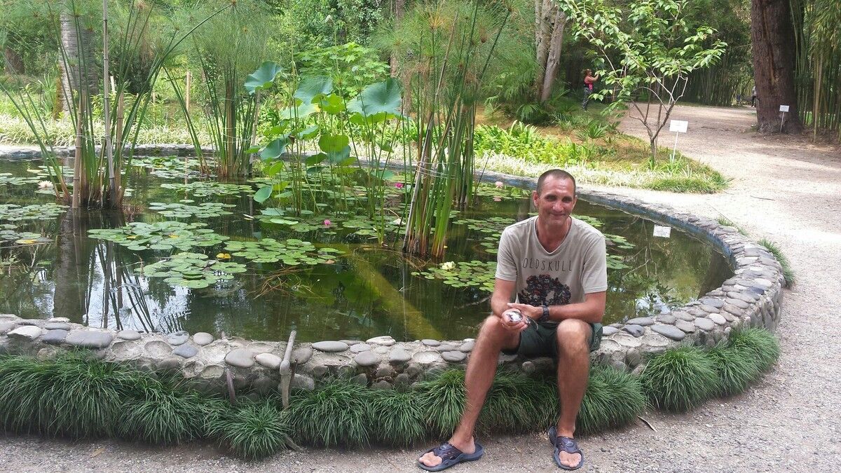 ���� 17062729 ������� ������, 49 ���, ���� ���������� � ������