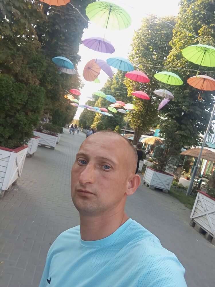  53267069  , 33 ,    