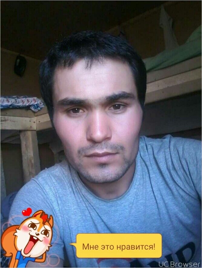 ���� 9576209 ������� �����, 31 ���, ���� ���������� � �����-����������