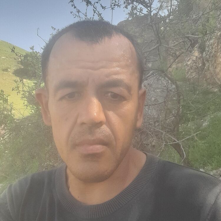 ���� 49221229 ������� Daler, 40 ���, ���� ���������� � ������