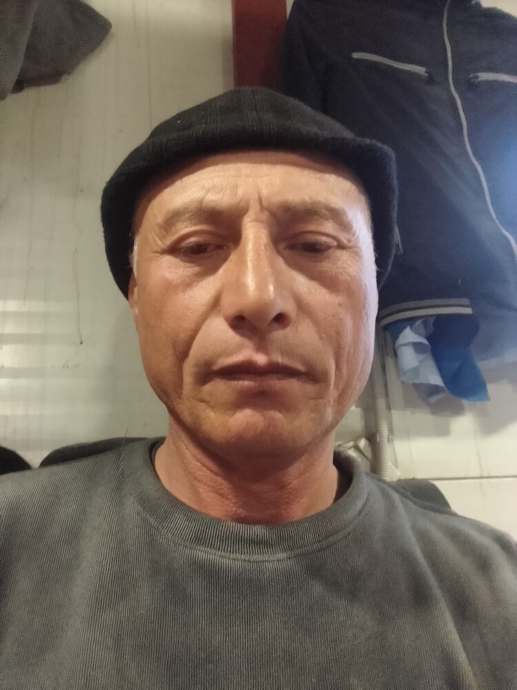  43137179  , 55 ,    