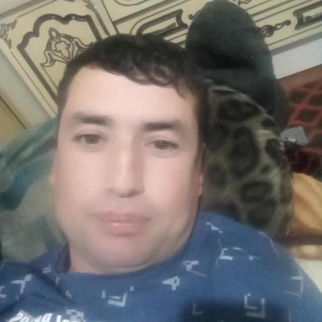 ���� 49602779 ������� ����, 42 ����, ���� ���������� � ������