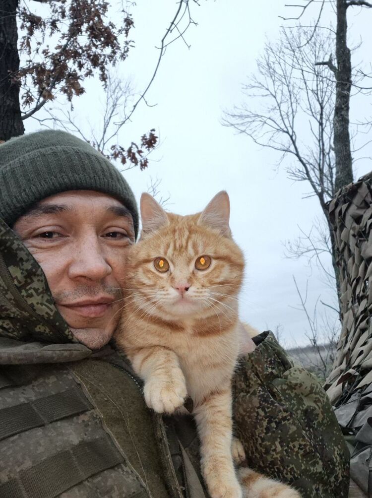 ���� 55099519 ������� ��������, 38 ���, ���� ���������� � �������