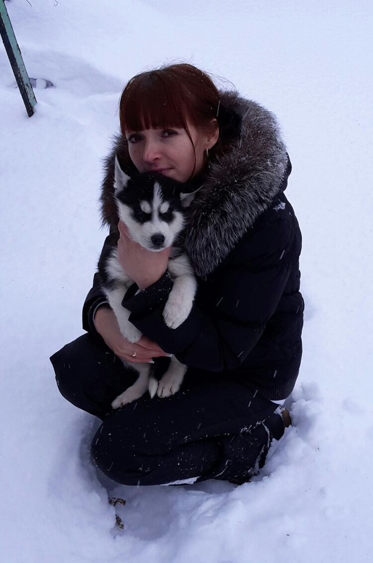 ���������� ���������, ���� ������� ����, 45 ���, ������������ ��� ������, ����� � ���������, c�������� ���������