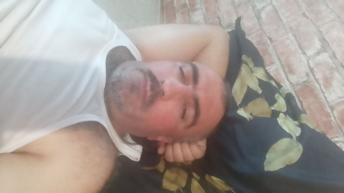 ���� 33117709 ������� ����, 42 ����, ���� ���������� � ������