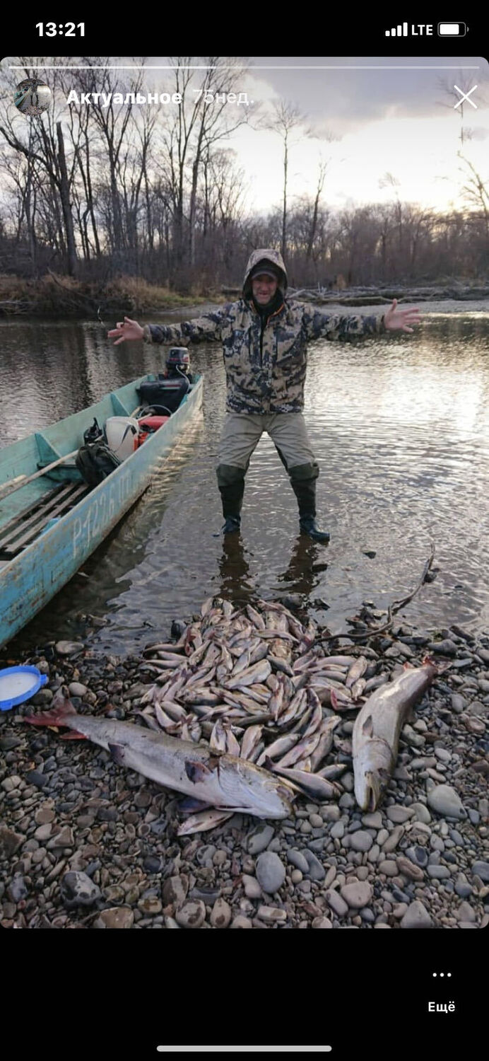 ���������� �����������, ���� ������� �������, 48 ���, ������������ ��� ������, ����� � ���������, c�������� ���������