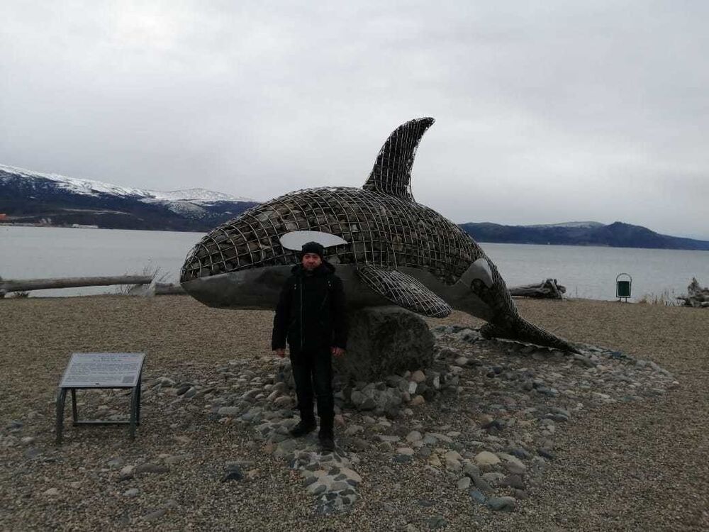 ���� 18284429 ������� ����, 40 ���, ���� ���������� � ��������