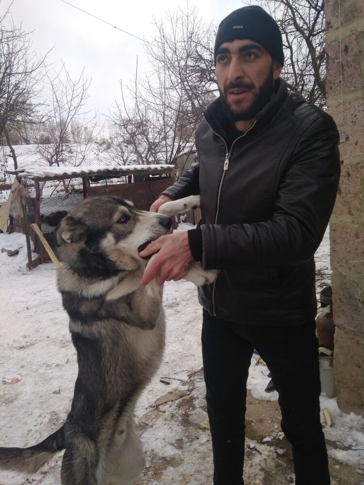 ���������� ������, ���� ������� APER, 35 ���, ������������ ��� ������, ����� � ���������, c�������� ���������