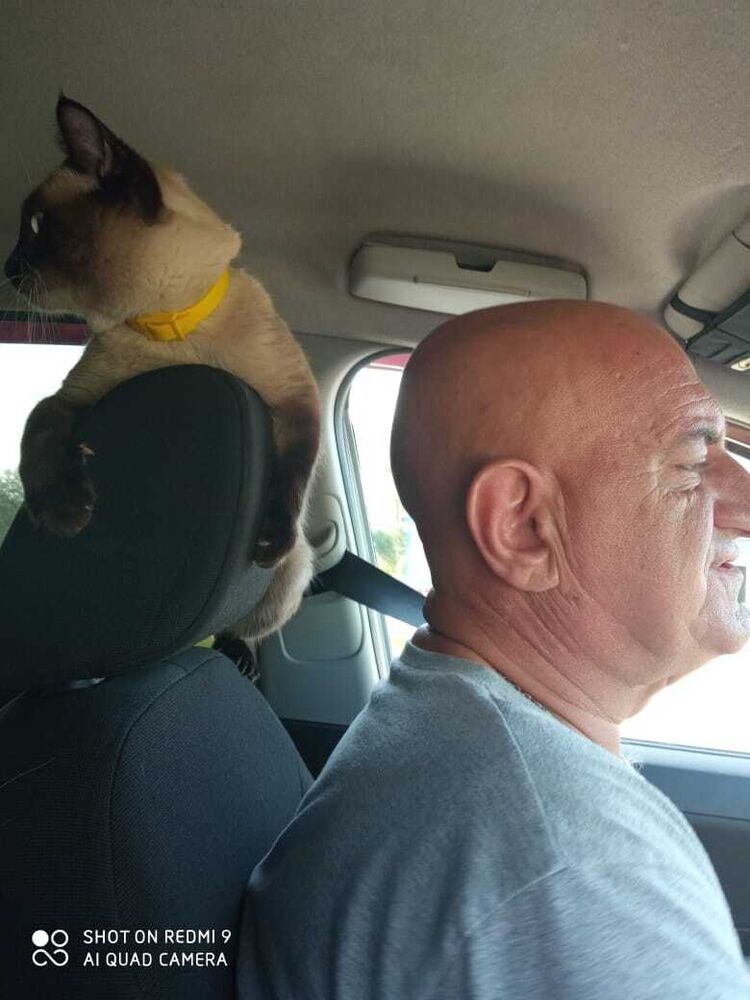 ���� 25210219 ������� ���������, 53 ����, ���� ���������� � �������������