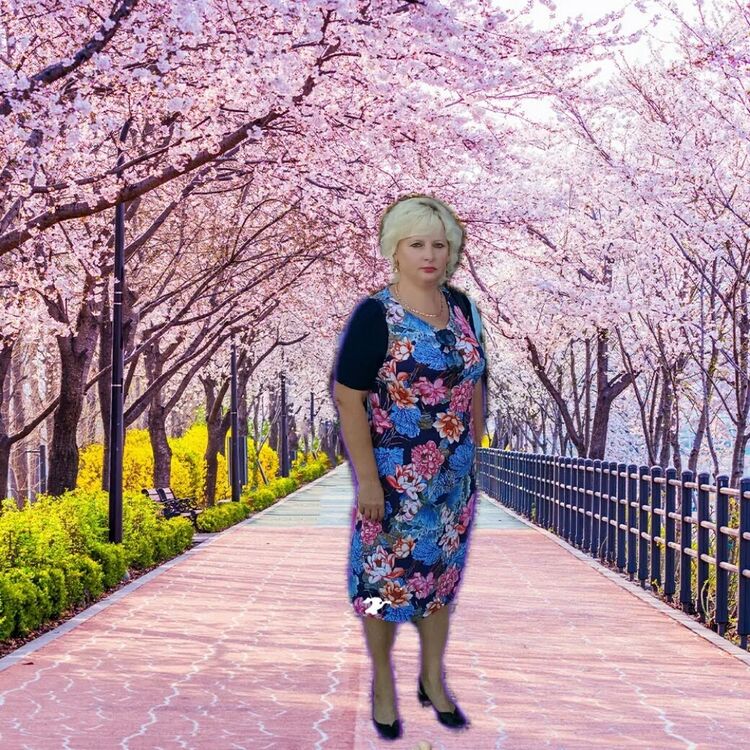   ,   , 62 ,   ,   