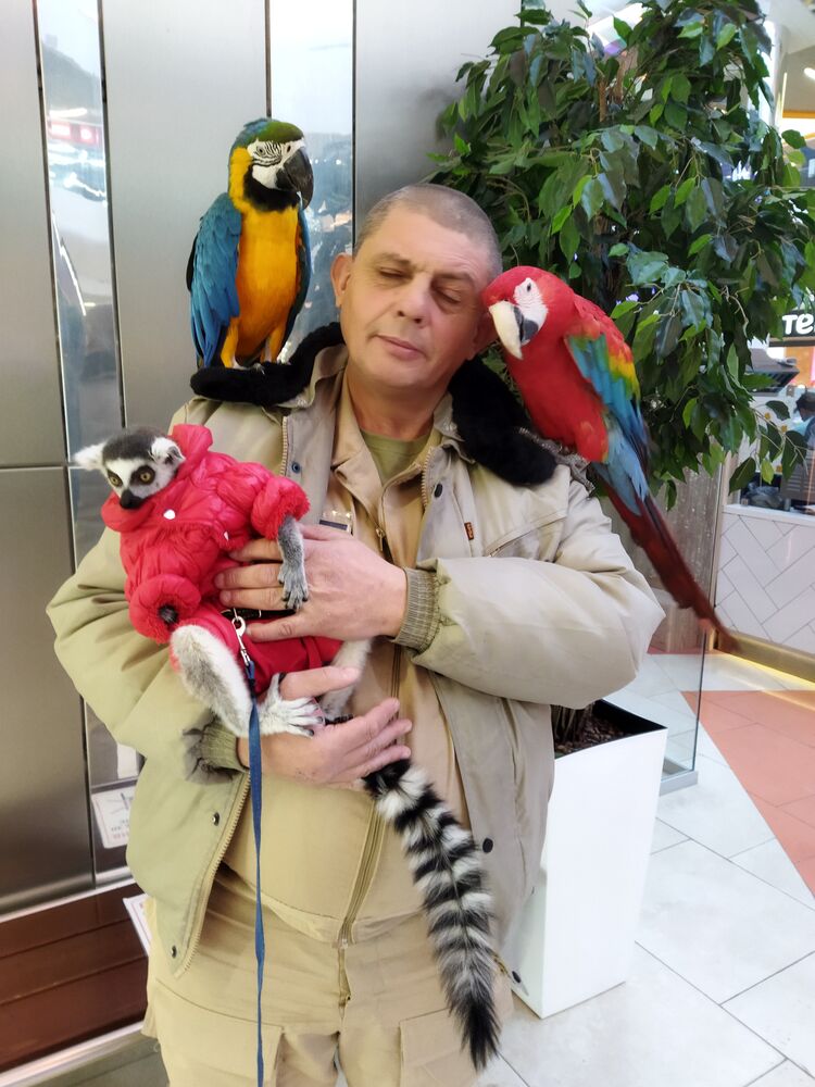 ���� 24858389 ������� ���������, 53 ����, ���� ���������� � ����