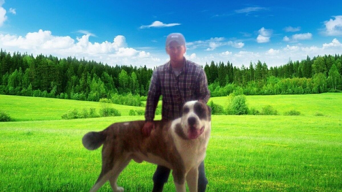  ,   Alek, 38 ,   ,   , c 