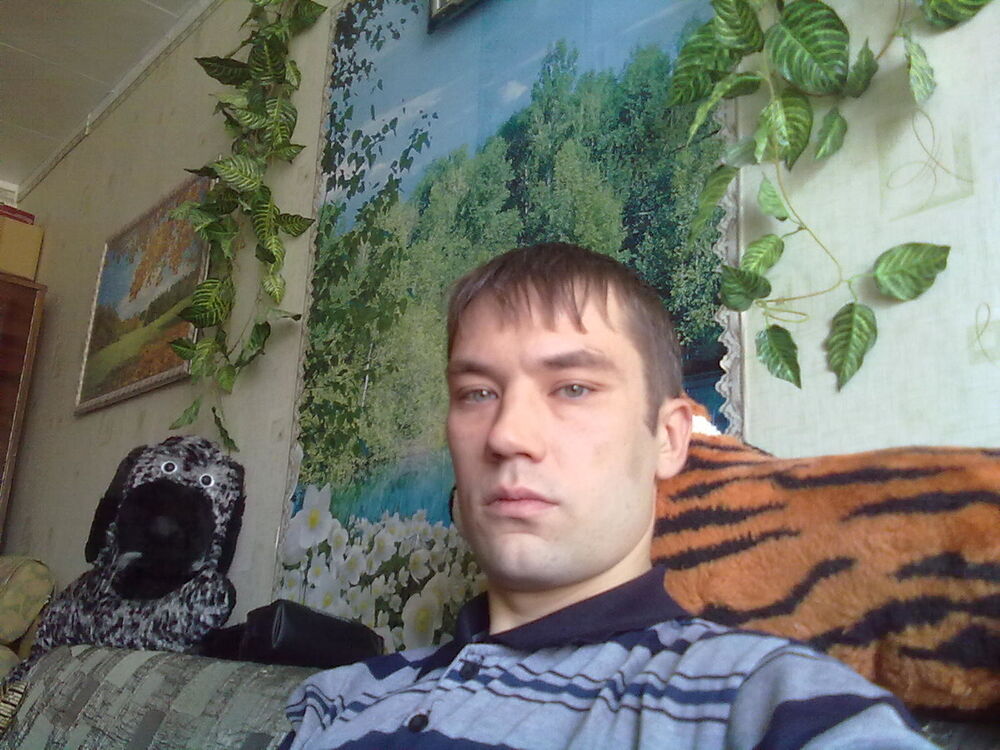  5052449  , 40 ,    