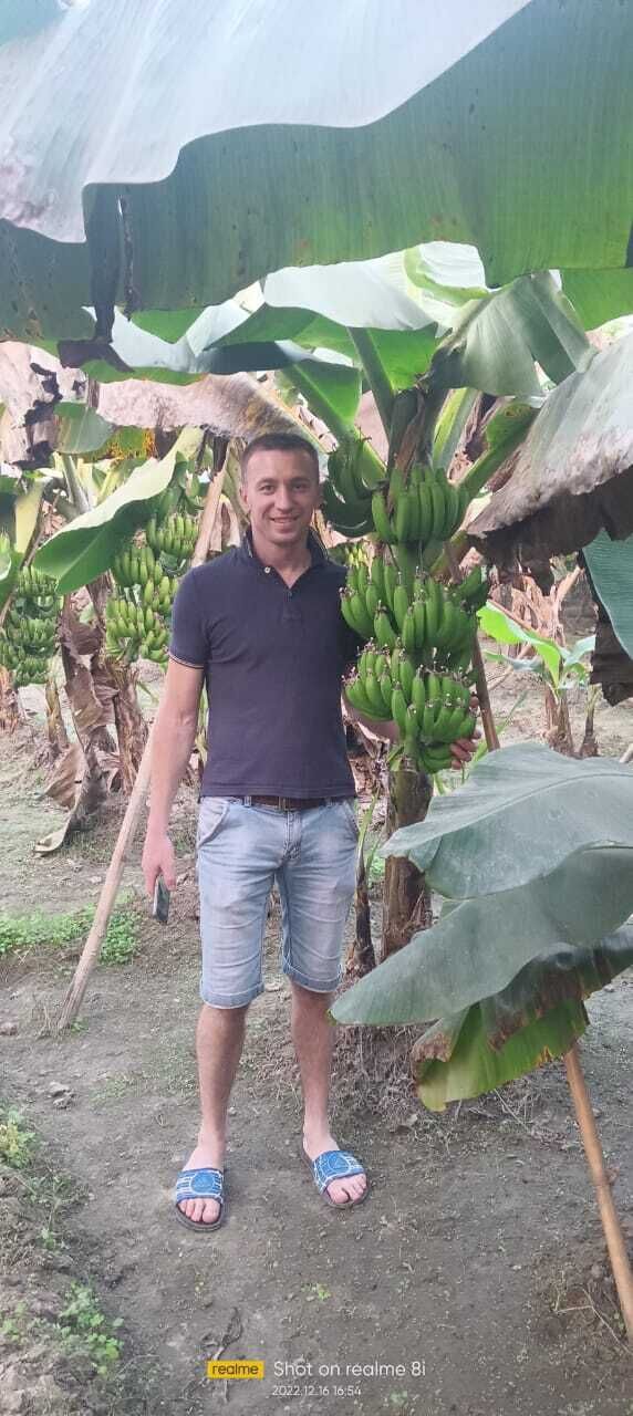 ���� 37926899 ������� �����, 38 ���, ���� ���������� � ������