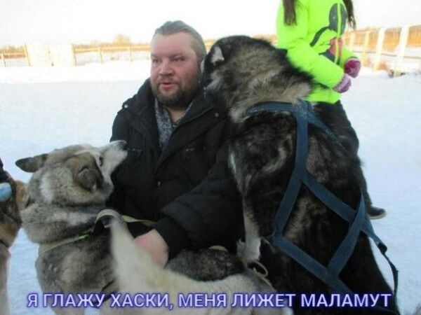 ���������� ������������, ���� ������� �������, 52 ����, ������������ ��� ������, ����� � ���������, c�������� ���������