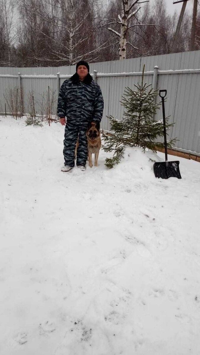 ���������� ������, ���� ������� �������, 50 ���, ������������ ��� ������, ����� � ���������, c�������� ���������