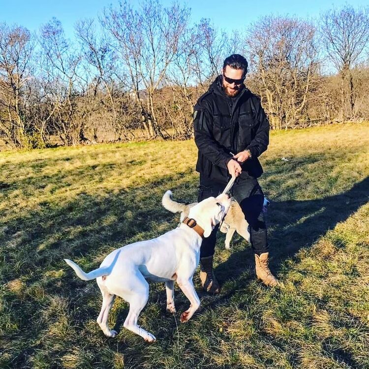  ,   Stephan, 40 ,   c 