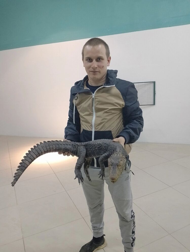  ,   , 27 ,   ,   