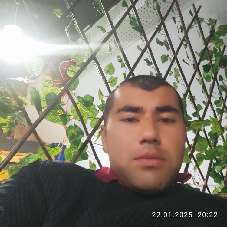  49145509  , 31 ,    -