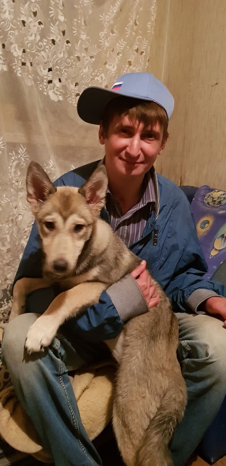 ���� 56260419 ������� ���������, 33 ����, ���� ���������� � ������