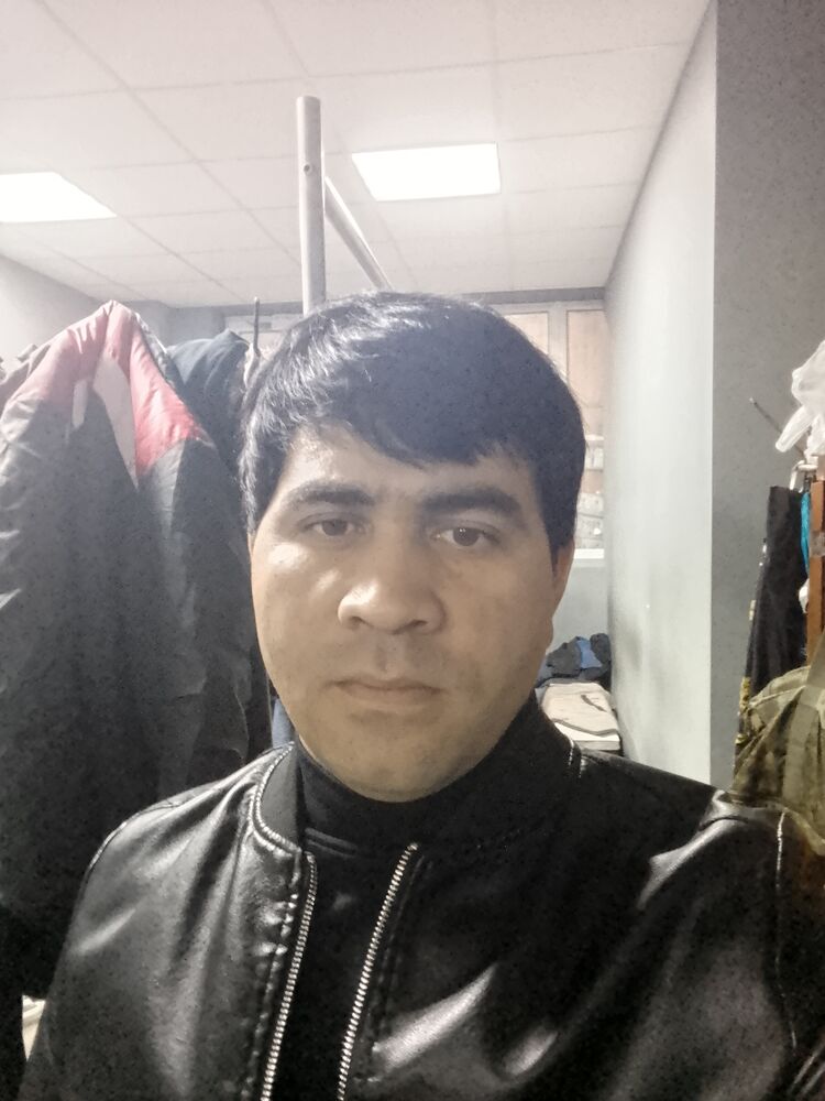  47293589  , 31 ,    