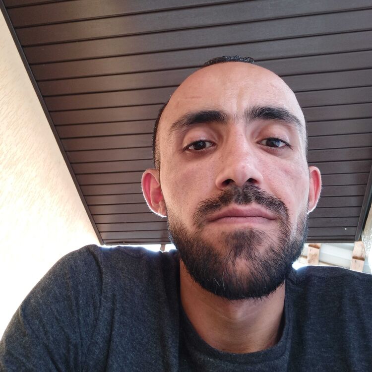 ���� 23063379 ������� ����, 36 ���, ���� ���������� � �����������