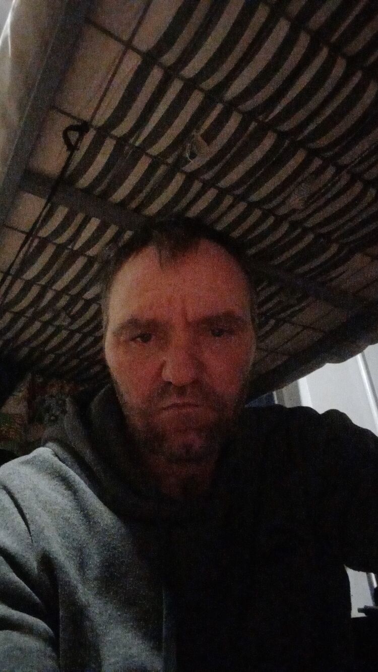 40333979  , 38 ,    