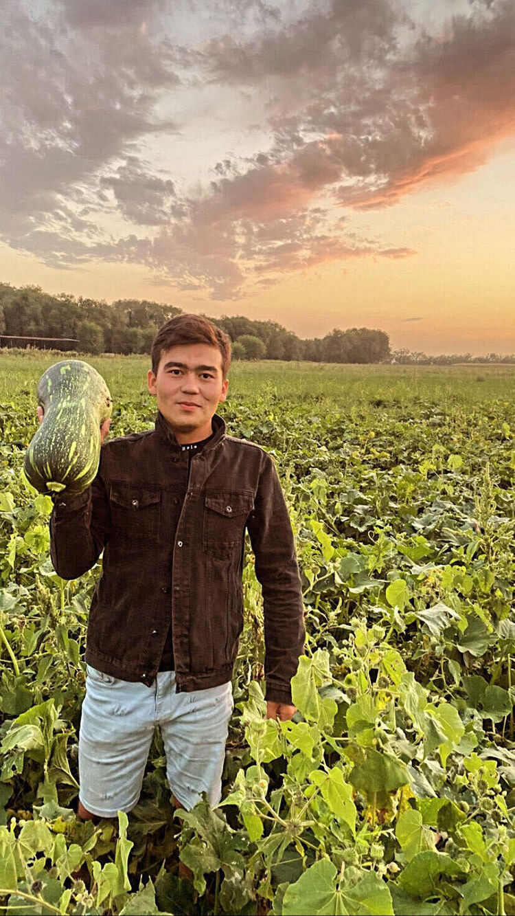 ���� 37980369 ������� �������, 29 ���, ���� ���������� � ������