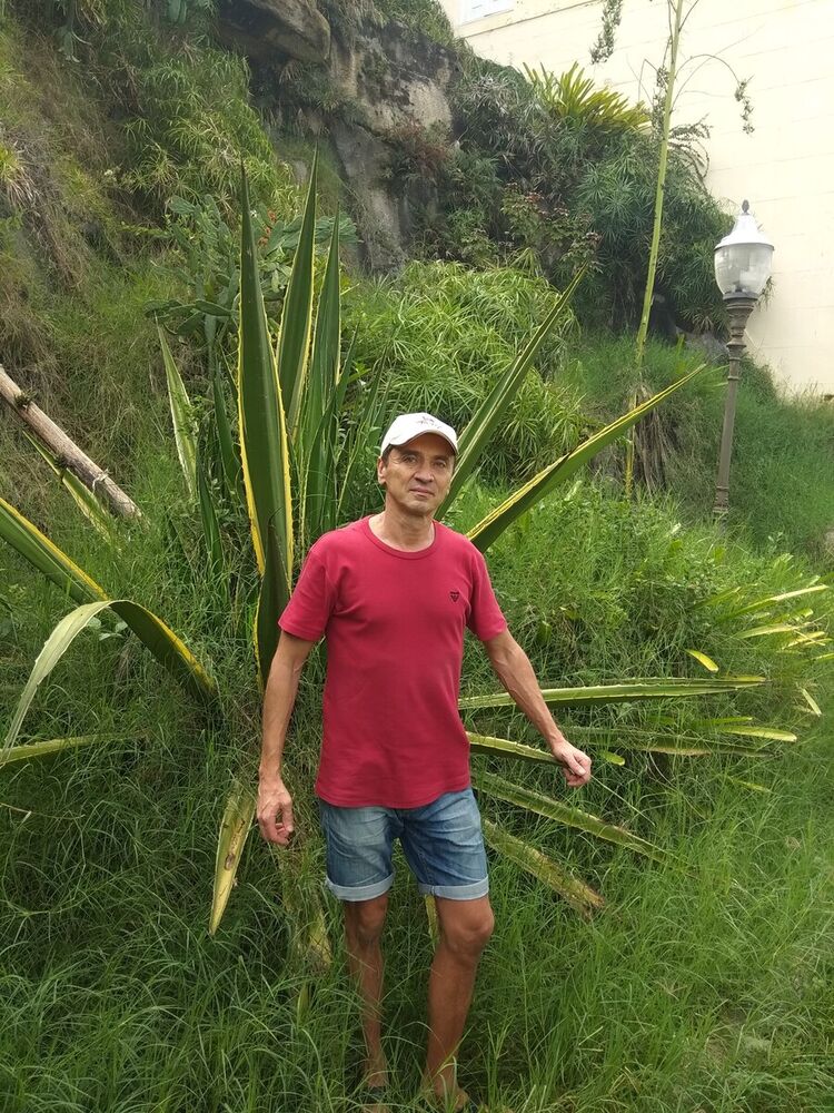 ���������� ����, ���� ������� ����, 55 ���, ������������ ��� ������, ����� � ���������, c�������� ���������