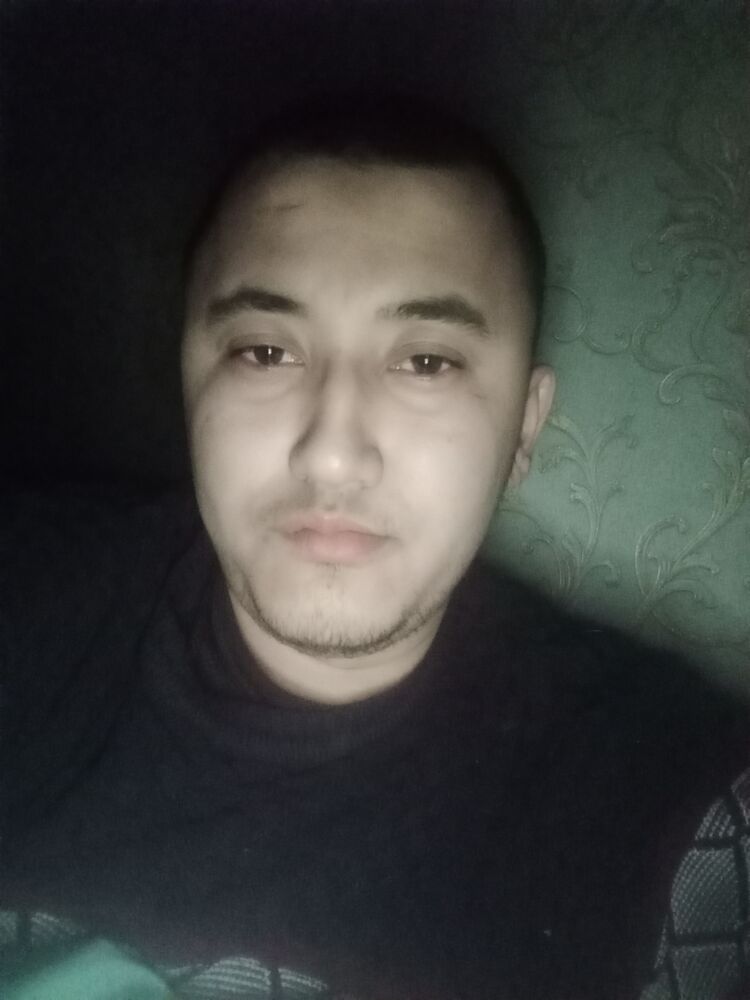 ���� 31988969 ����� ������, 24 ����, ���� ���������� � ������