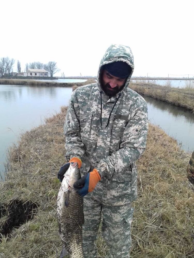 ���� 39488019 ������� ����, 43 ����, ���� ���������� � �����������