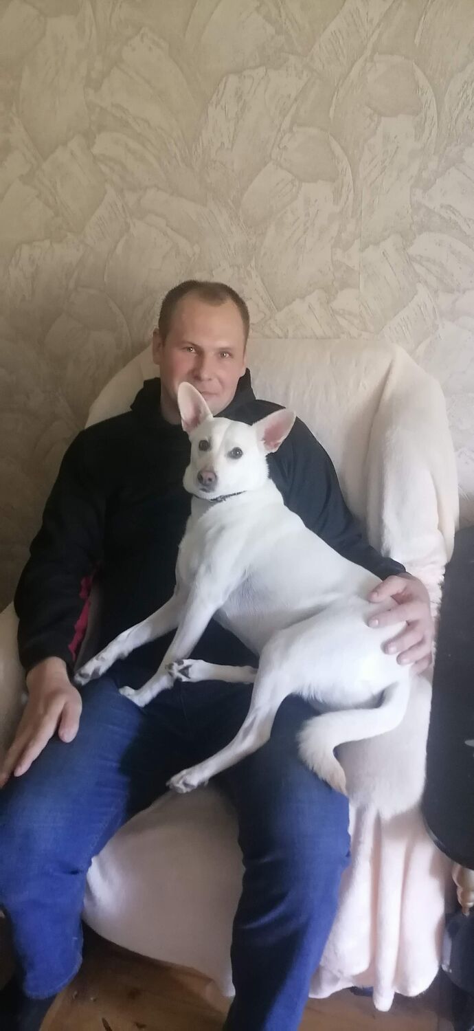 ���� 38964029 ������� ������, 39 ���, ���� ���������� � ������������-��-�����