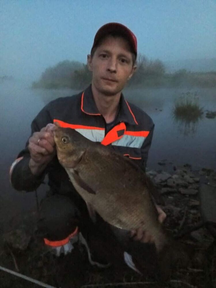 ���� 54290499 ������� �������, 27 ���, ���� ���������� � ����������