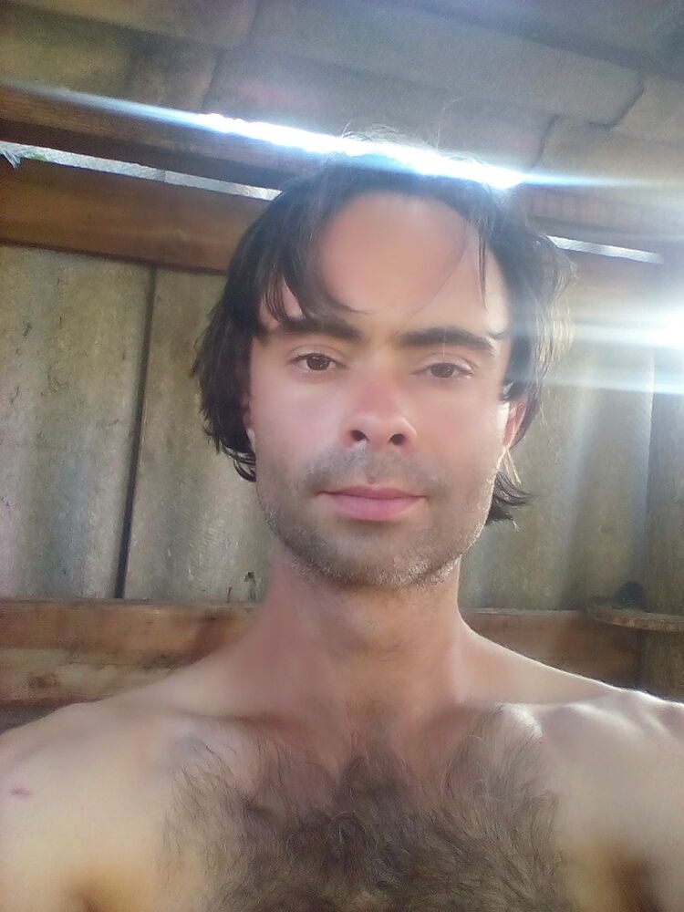  13177459  , 44 ,    