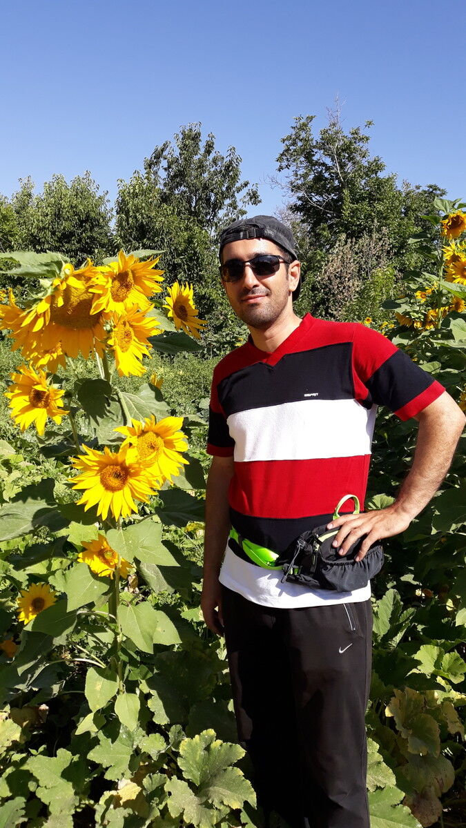  ,   Ali, 38 ,   ,   , c 