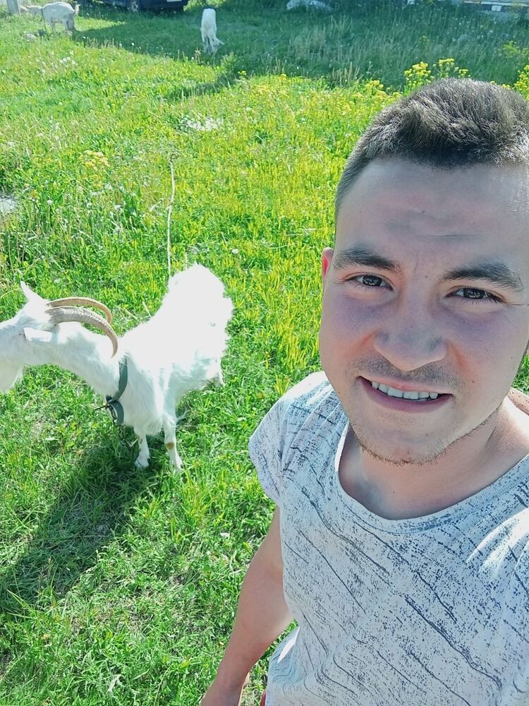  35286969  , 27 ,    -