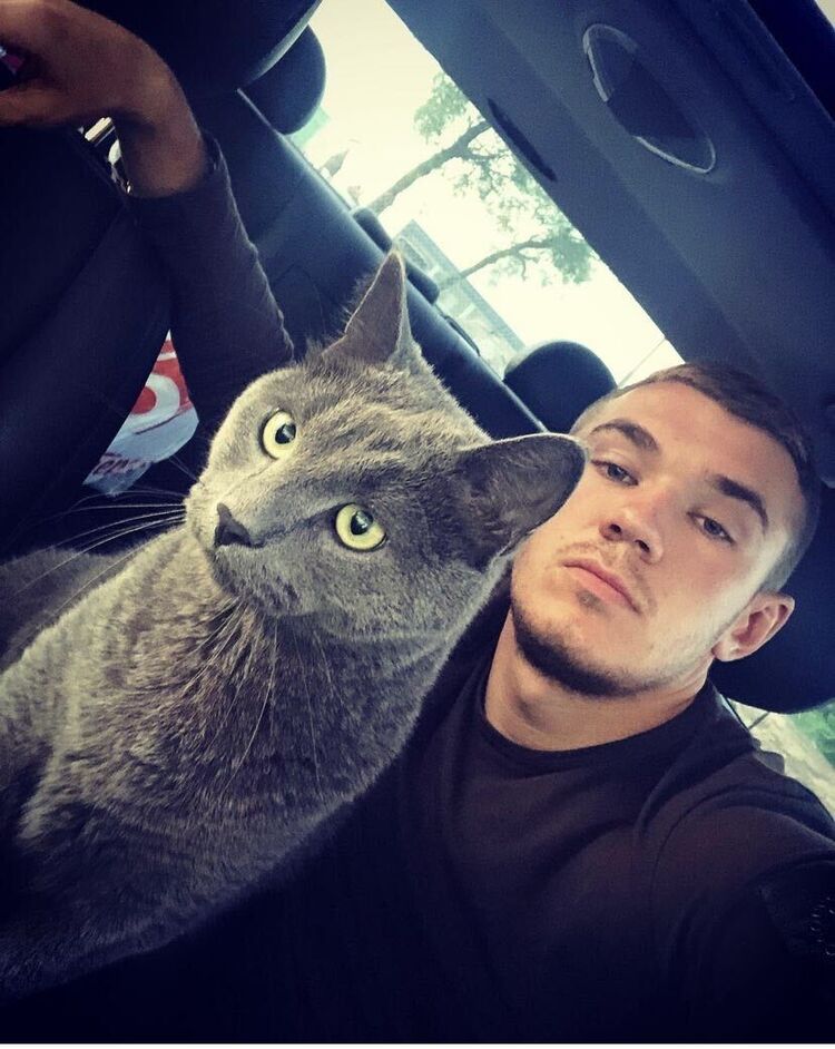  -,   , 29 ,   ,   