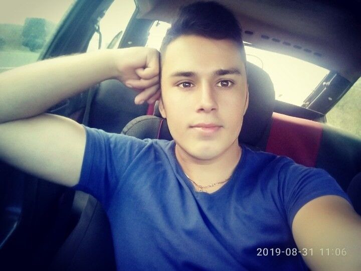  17295669  , 28 ,    