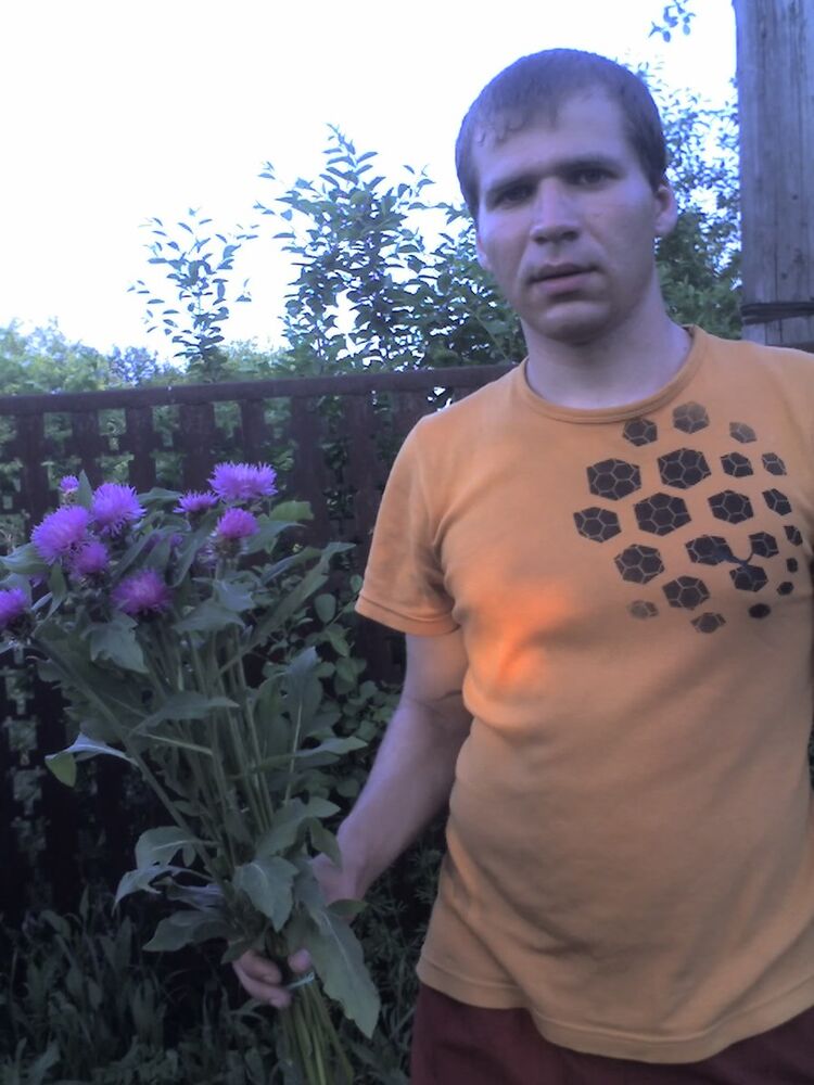 ���������� ������, ���� ������� ����, 43 ����, ������������ ��� ������, ����� � ���������, c�������� ���������