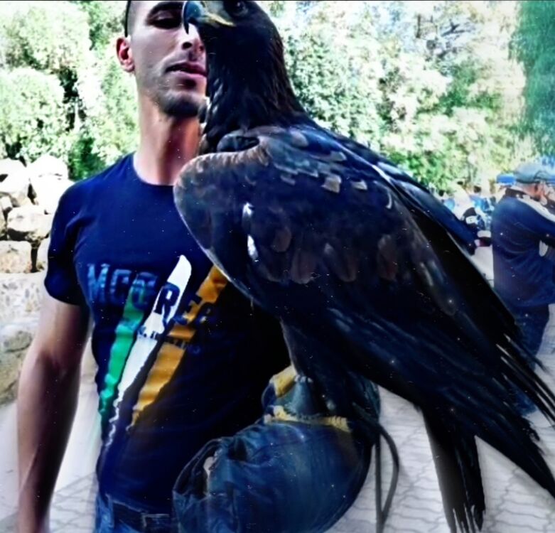 ���������� ������, ���� ������� Hamza mer, 38 ���, ������������ ��� ������, ����� � ���������