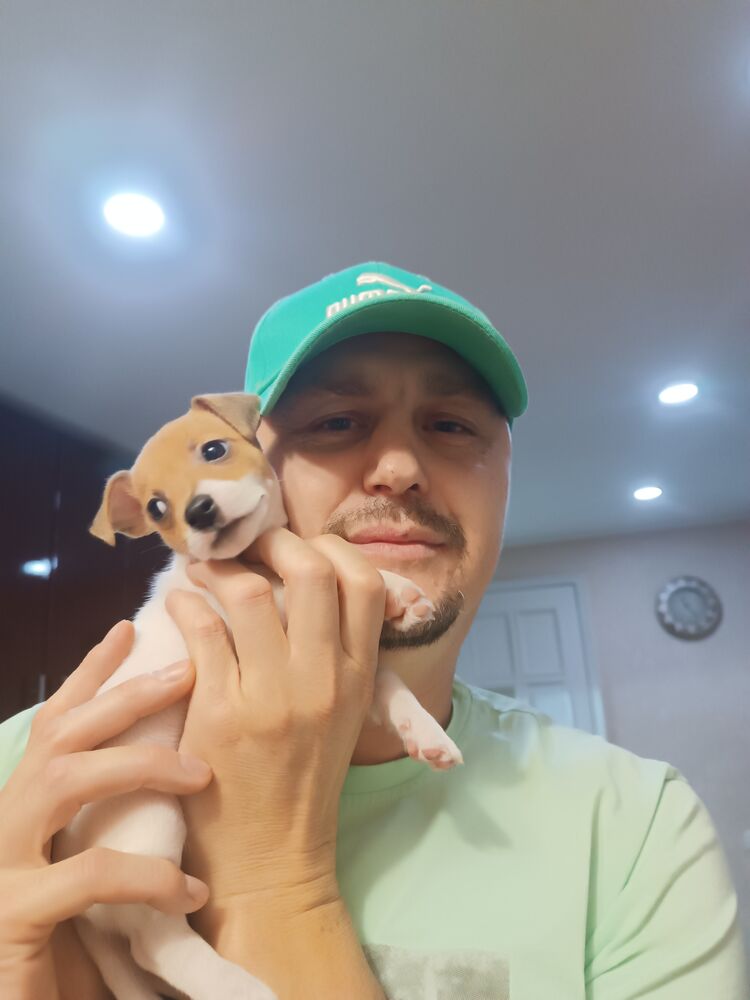 ���������� ������-��-����, ���� ������� ��������, 46 ���, ������������ ��� c�������� ���������