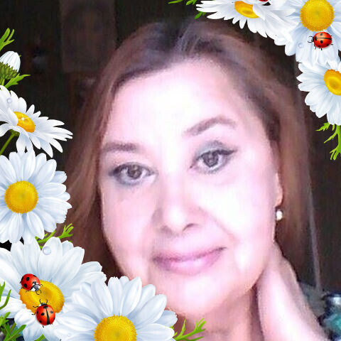 ���� 22498269 ������� �������, 66 ���, ���� ���������� � ������