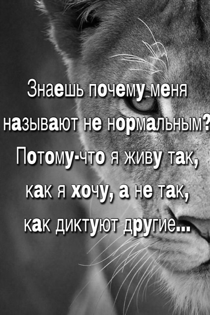 ���� 30960279 ������� ����, 35 ���, ���� ���������� � ���